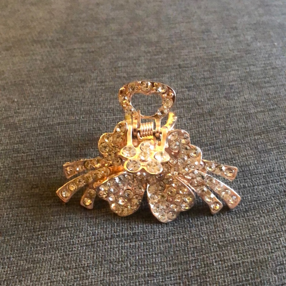 Sparkly hair clip!